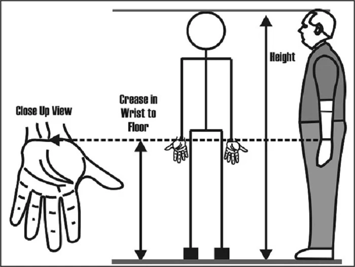 Wrist to Floor Explained Through Comparisons