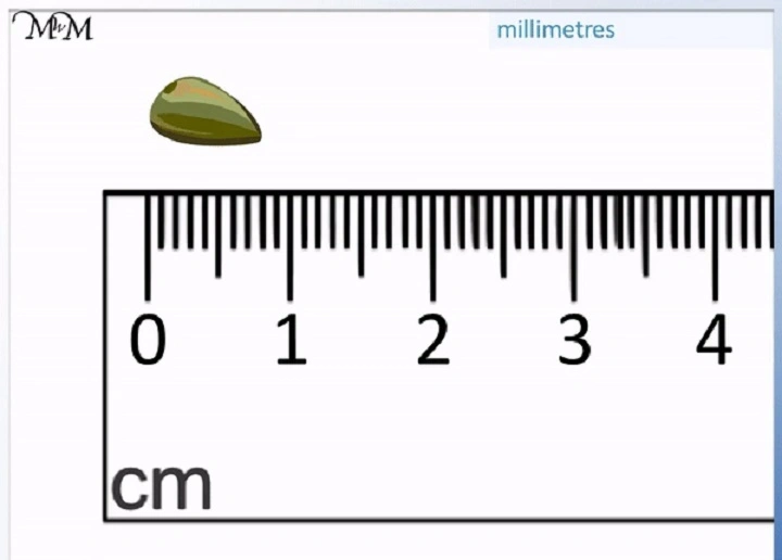 smallest unit of measurement