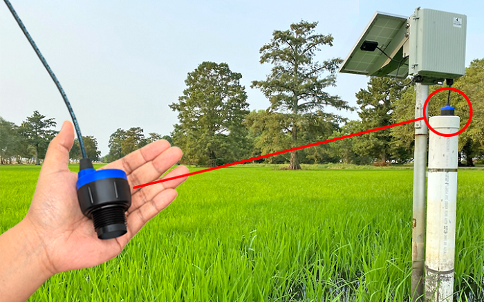 Water Level Monitoring in the Field of Environment