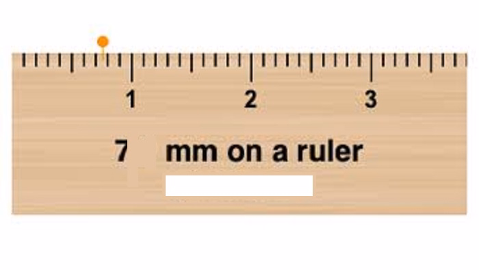 Comparison of 7 MM and a Ruler