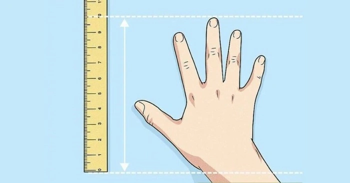 Ten Inches Everyday Life.