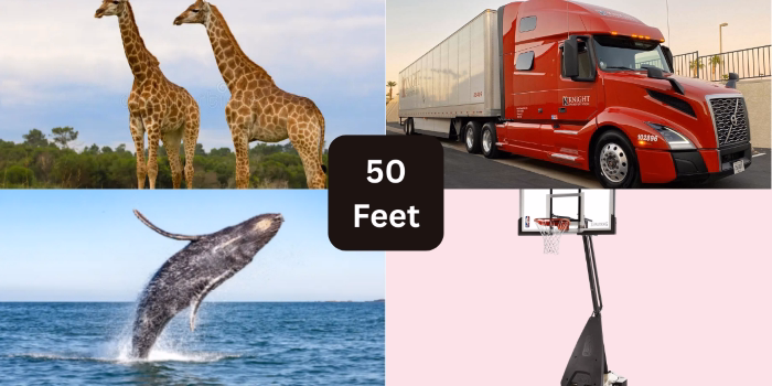 50 Feet Real Life