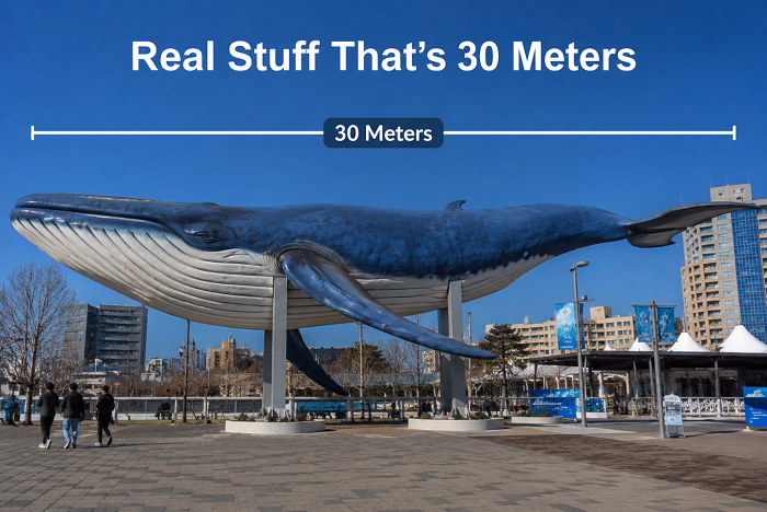 Real Stuff Thats 30 Meters
