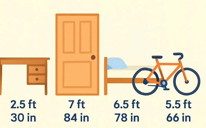 66 Inches Fun Facts 1