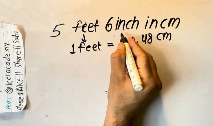 how tall is 48 inches 3