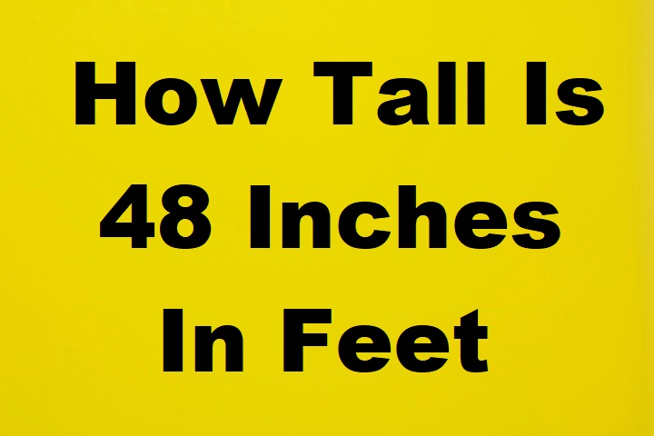 how tall is 48 inches in feet