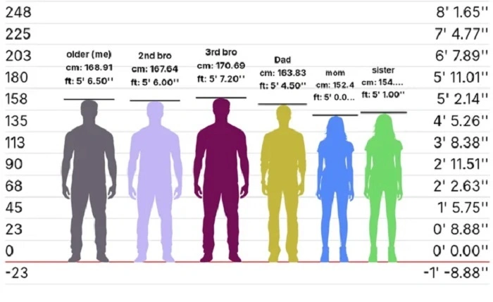 How Tall Is 166 Cm In Feet 3