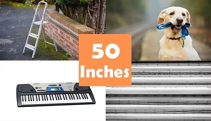 How Tall Is 50 Inches