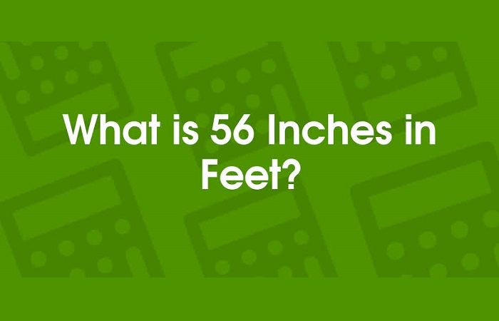 How Tall Is 56 Inches 1