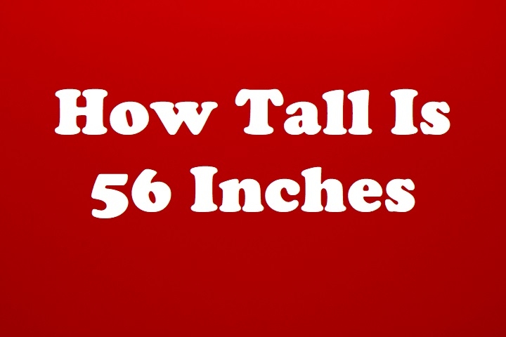 How Tall Is 56 Inches