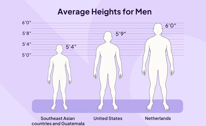 Is 50 Inches a Common Height 3