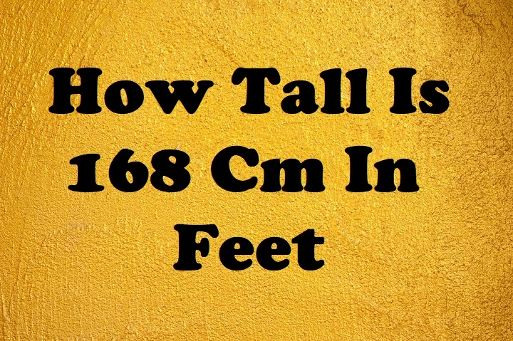 how tall is 168 cm in feet