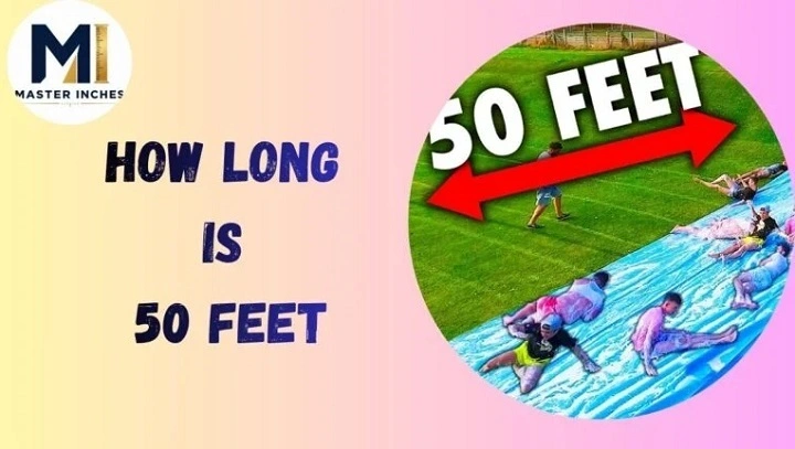 how tall is 50 inches in feet1 1