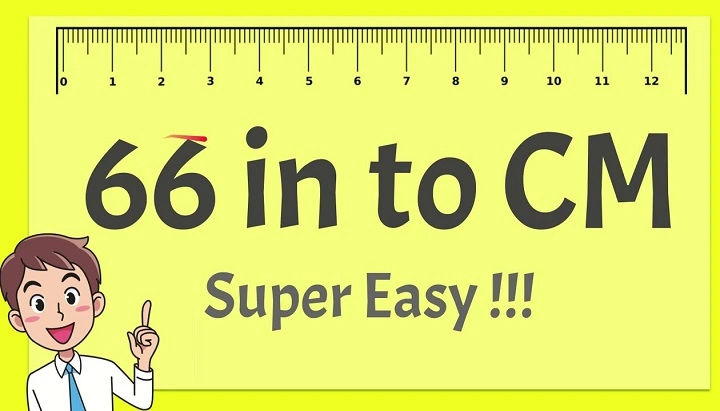 How Tall Is 66 Inches? Height Conversions, Comparisons and Examples