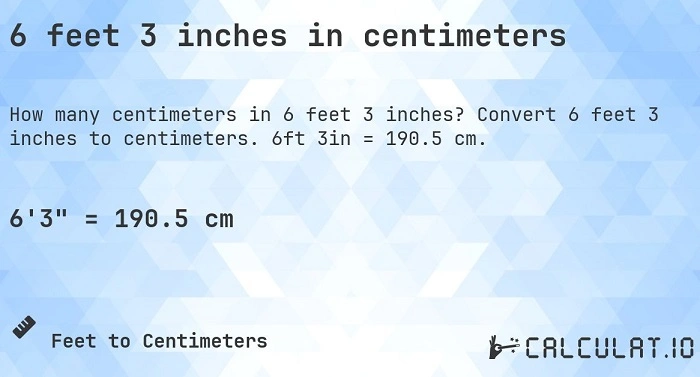 6 3 in cm 4