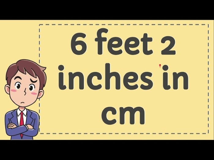 what is 62 in cm 1