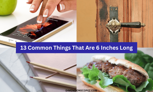 13 Common Things That Are 6 Inches Long With Pics