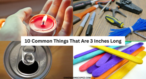 10 Common Things That Are 3 Inches Long