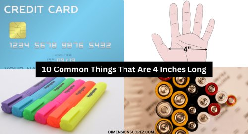 10 Common Things That Are 4 Inches Long