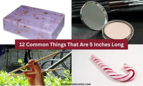 12 Everyday Items That Are About 5 Inches Long