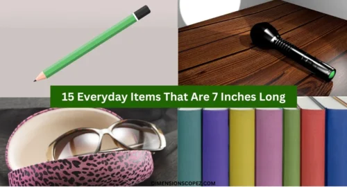 15 Common Things That Are 7 Inches Long