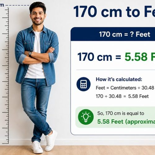 170 cm to Feet: Explained Clearly