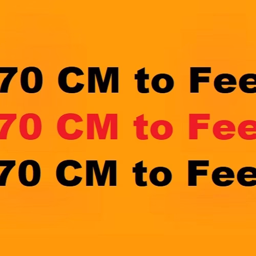 170 cm to Feet: Explained Clearly