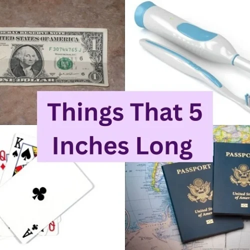 5 Inches in Real Life: Conversions, Everyday Objects, and Blatant Analogies