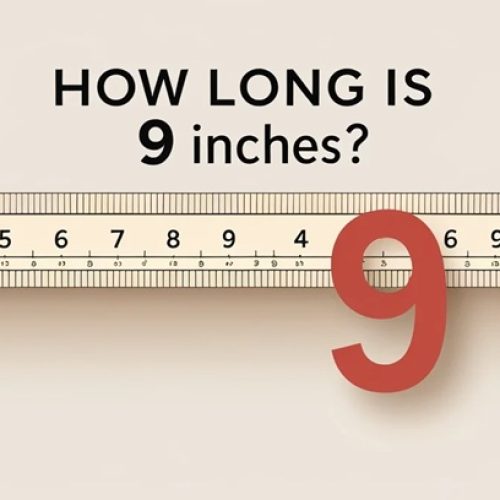 9 Inches in Everyday Life: Conversions, Real-Life Examples, and Easy Comparisons