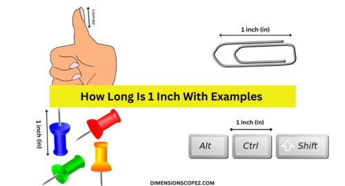 Common Things That Are 1 Inch Long