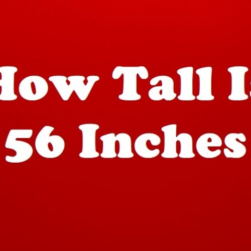 How Tall Is 56 Inches: Conversions, Comparisons And Examples