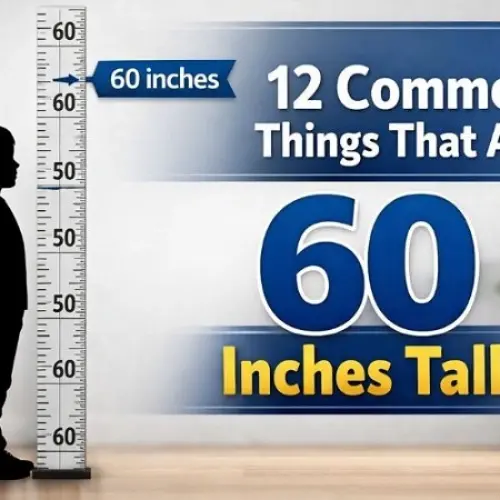 How Tall Is 60 Inches in Feet? Height Conversions, Comparisons, And Examples