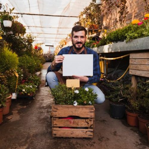 From Seed to Sale: The Best Digital Tools for Farmers’ Market Success