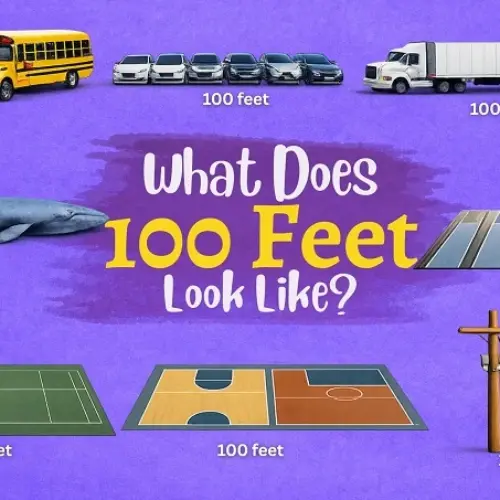 How Far Is 100 Feet? Understanding This Distance Through Everyday Comparisons