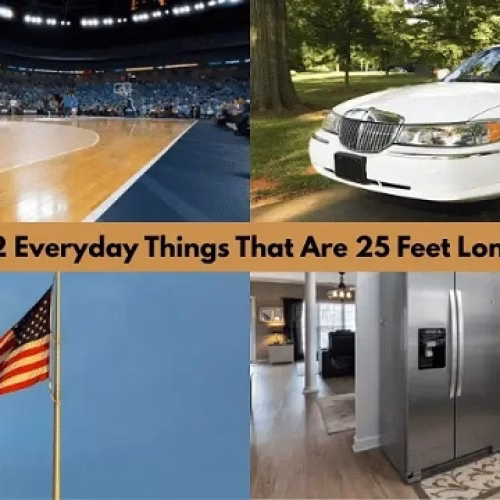 How Far Is 25 Feet? Visualizing Twenty-Five Feet in Everyday Life