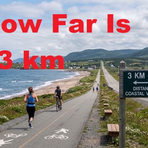 3 Kilometers Explained: What the Distance Looks Like in Real Life