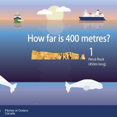 How Far Is 400 Meters in Miles ? 13 Easy Ways to See It