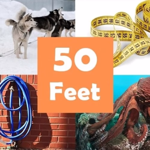 How Far Is 50 Feet? Easy Ways to Picture It
