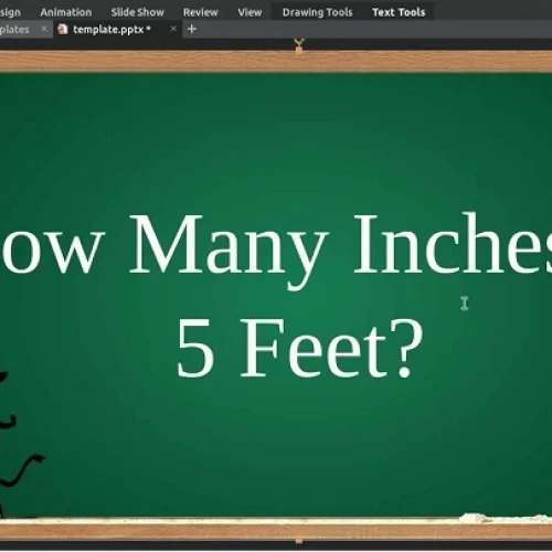 How Many Inches Is 5 Feet? Explained Clearly