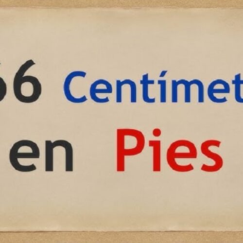 How Tall is 166 Cm in Feet? Height Conversion, Comparisons and Examples