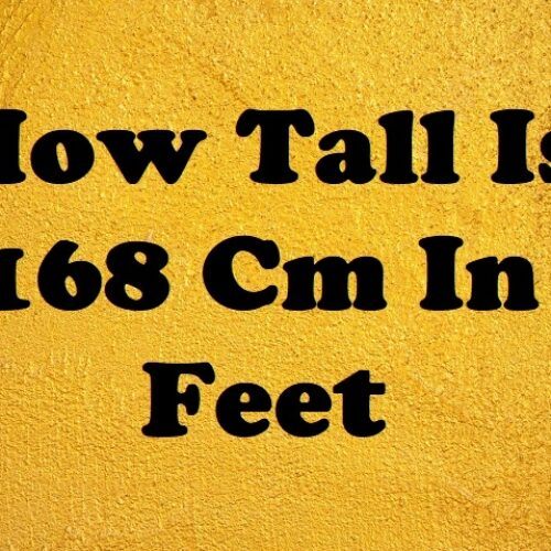 How Tall Is 168 Cm in Feet? Height Conversion, Comparisons, Examples