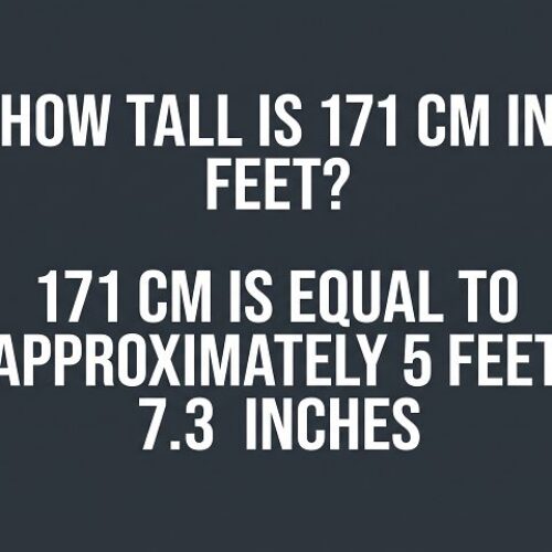 How Tall Is 171 Cm in Feet? Height Conversion, Comparisons and Examples