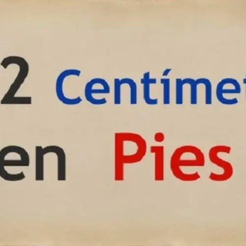 How Tall Is 172 cm In Feet? Height Conversions, Comparisons, And Examples