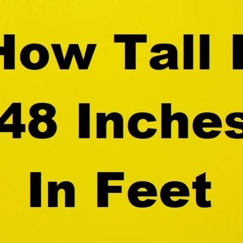 How Tall Is 48 Inches in Feet? Height Conversion, Comparison, Examples