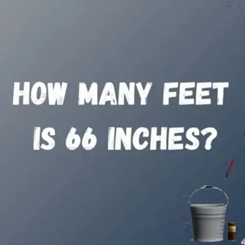 How Tall Is 66 Inches In Feet? Height Conversions, Comparisons, And Examples