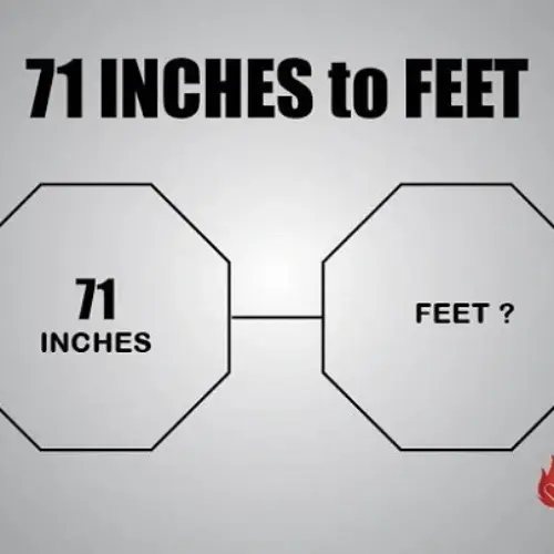 How Tall is 71 Inches in Feet? How Many Cm and Meter is it? Conversion, Compare and Examples