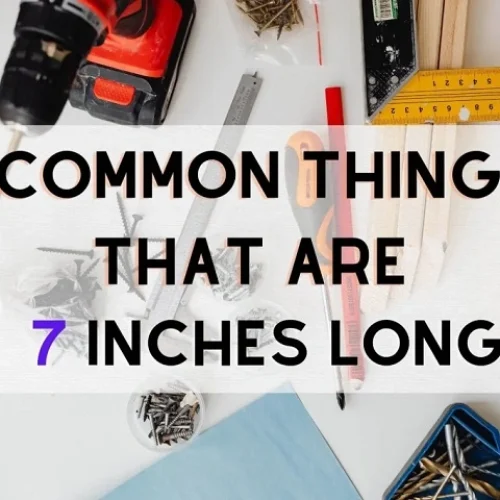 What Does 7 Inches Look Like: Everyday Examples, Conversions, and Real-Life Meaning